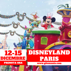 DISNEYLAND PARIS • 12 - 15 DICEMBRE 2024