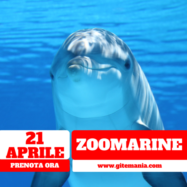 ZOOMARINE • 21 APRILE 2025 (Pasquetta)