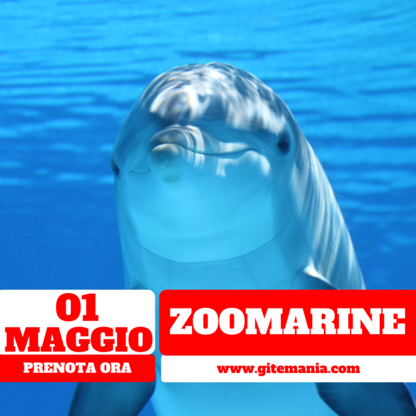 ZOOMARINE • 01 MAGGIO 2025